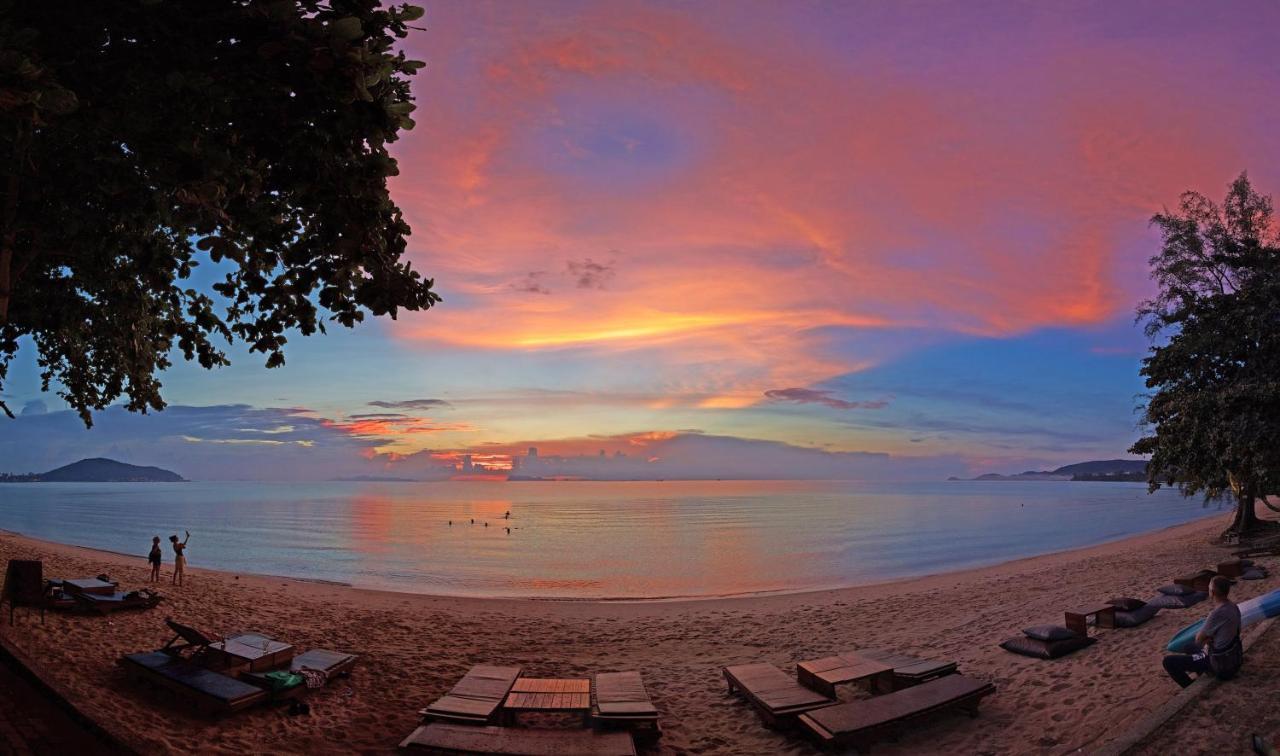 Satva Samui Yoga And Wellness Resort Amphoe Koksamui Extérieur photo